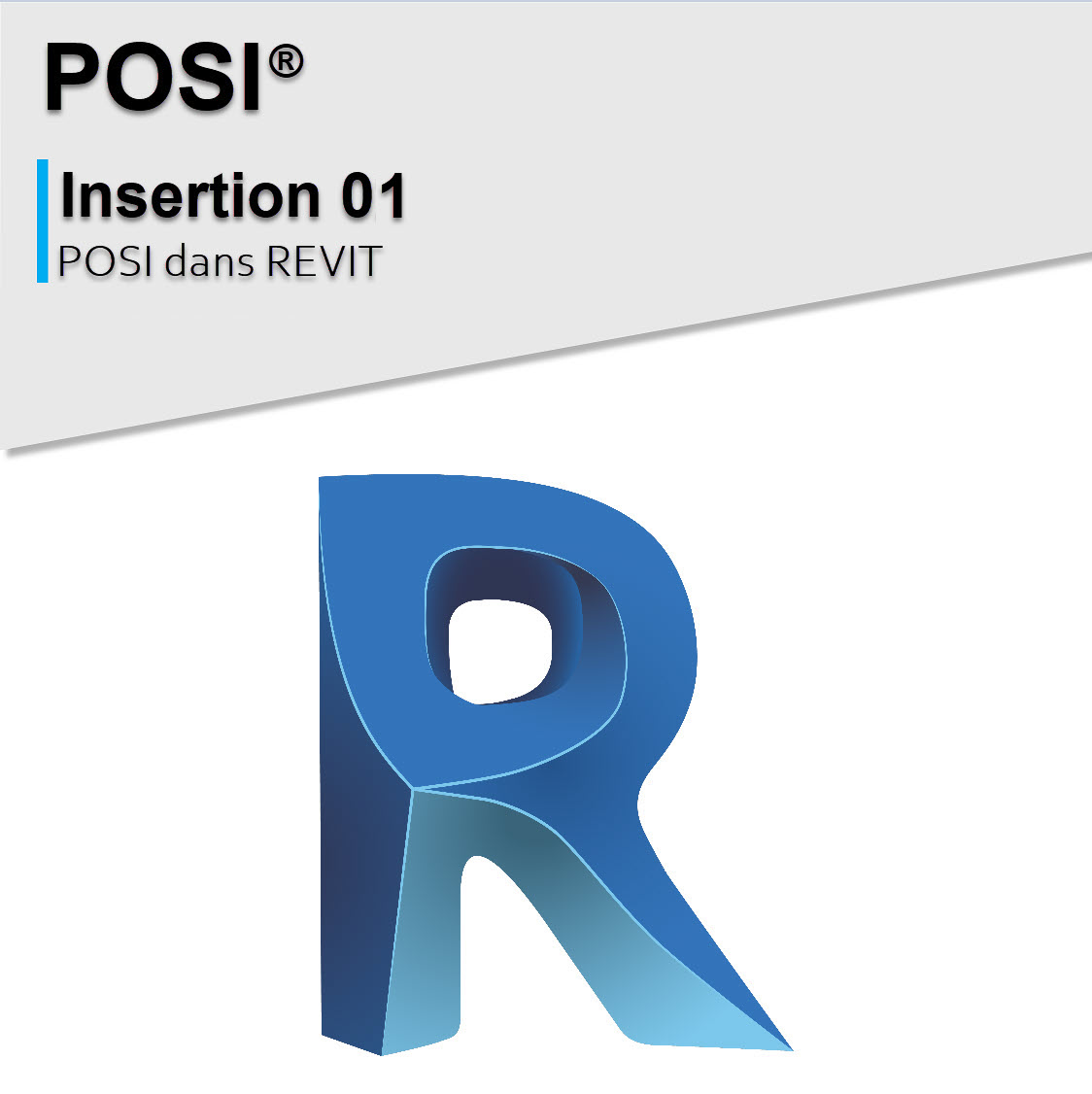 Insertion 01 POSI dans REVIT - MiTek France